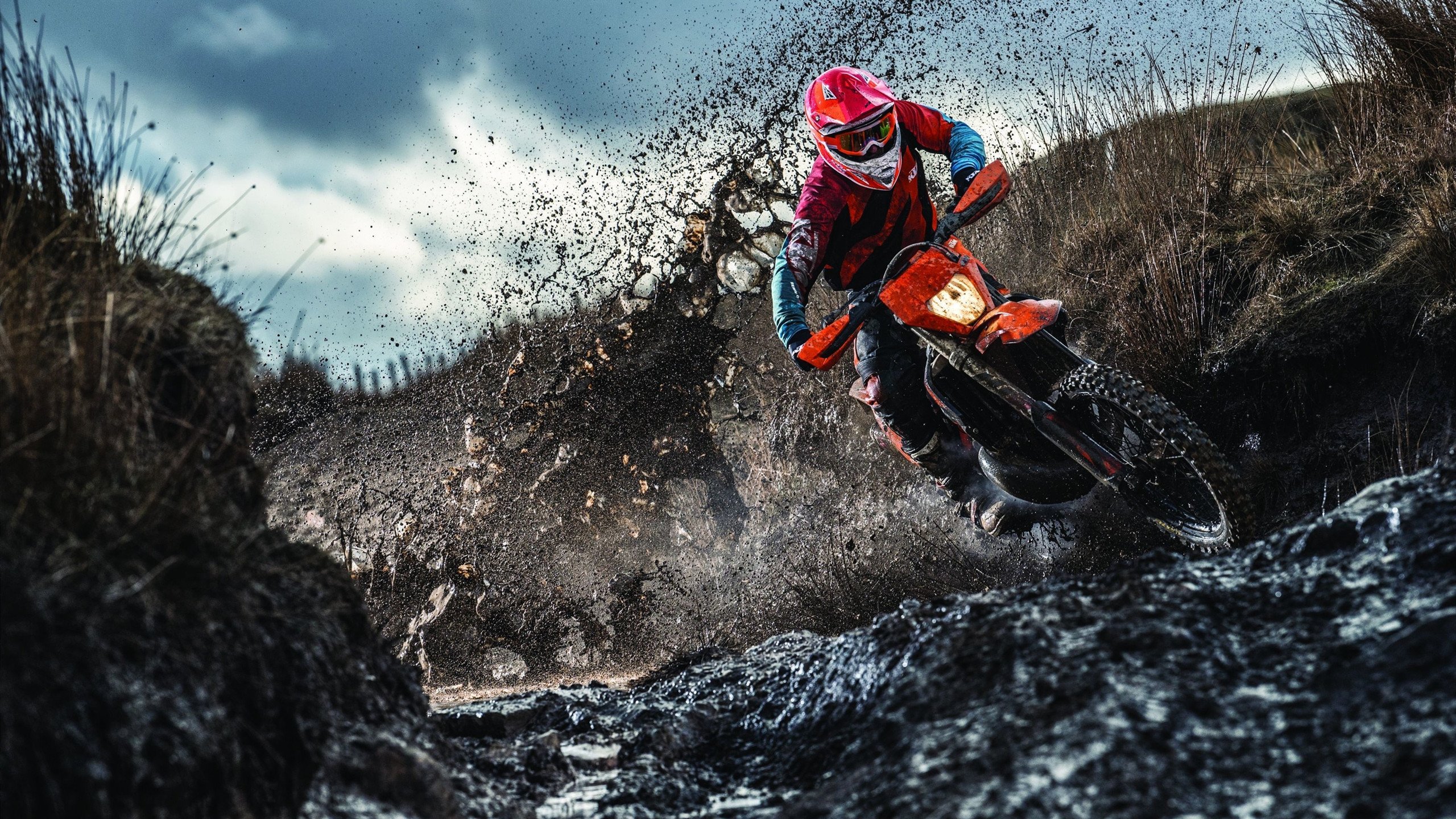 凯特·道格拉斯用速度征服200米蛙泳，道格拉斯 凯尼恩